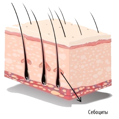 ProСlear-Матмарин copy.png ProСlear-Матмарин copy.png